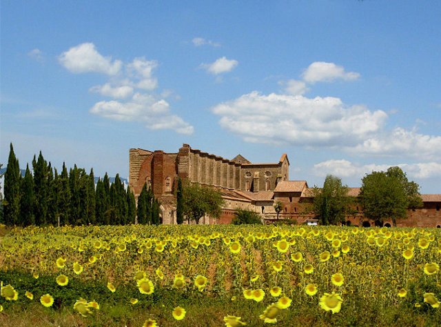 sangalgano016.jpg