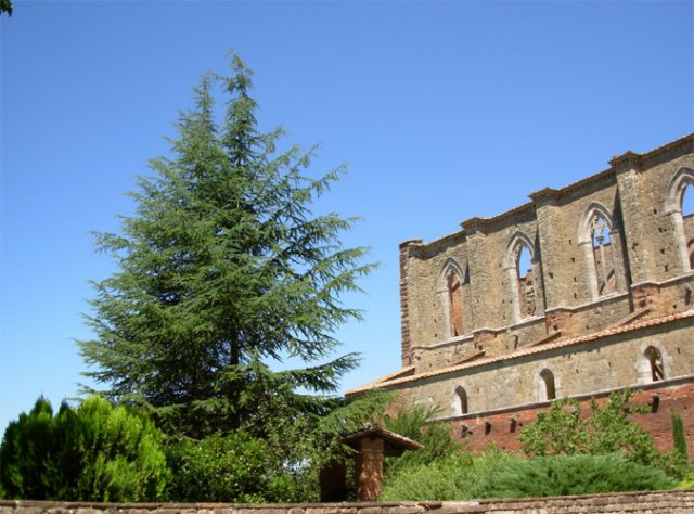 sangalgano034.jpg